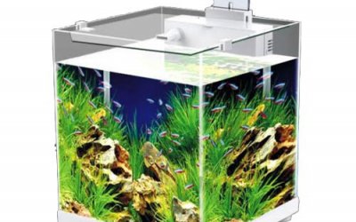 אקווריום הייטק סבו