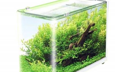 אקווריום כולל פילטר ותאורה