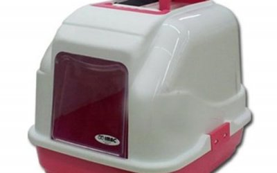 שירותים טובים לחתול