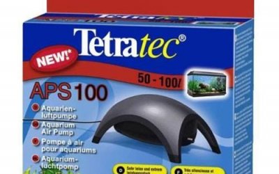 טטרה שקטה איכותית