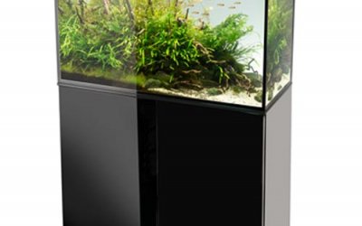 אקווריום זכוכית אקווה אל