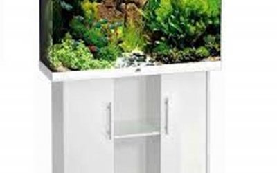 אקווריום גאול גרמני