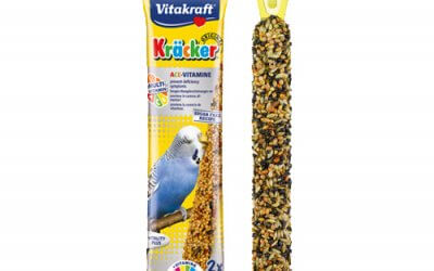 ויטמינים לתוכון