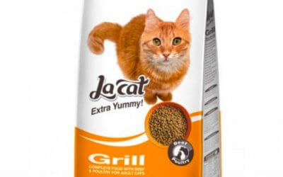 לה קט בטעם גריל